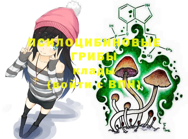дурь Арсеньев